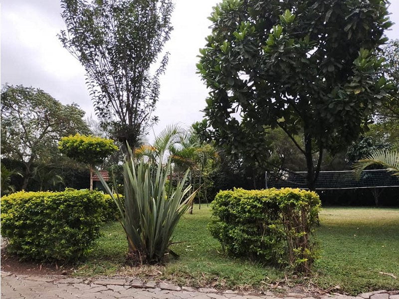 Nairobi Place Addiction Treatment Centre