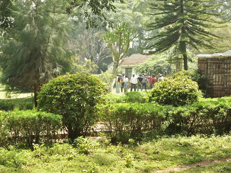 The Raphaelites Rehabilitation Center