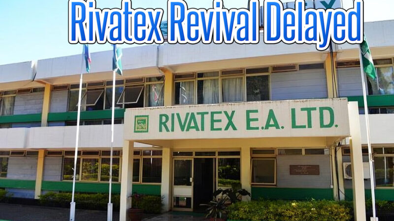 Rivatex Revival Delayed