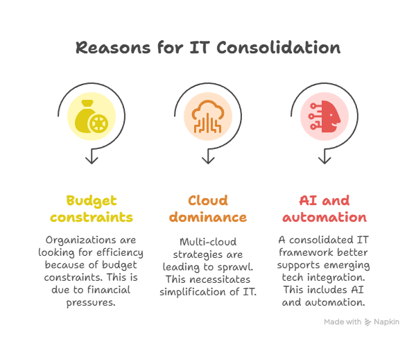 Reasons for IT consolidation